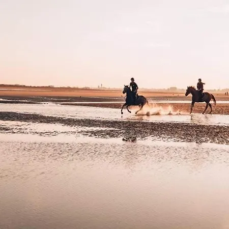 Apartment 2 Pieces, 5 Pers., Parking, Proche - Fr-1-465-124 *