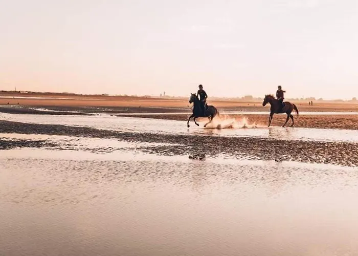 Apartment 2 Pieces, 5 Pers., Parking, Proche - Fr-1-465-124 *